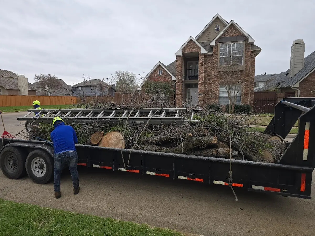 Expert Lot Clearing with proper safety equipment in Golden